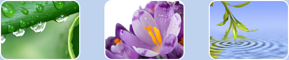 Nature Banner